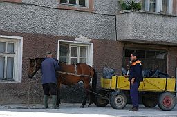 DSC_2635.JPG