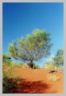 australien_filteredb.jpg