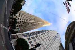 DSC_6631_kl.JPG