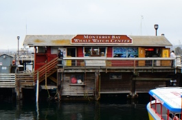 DSC_7062_kl.JPG