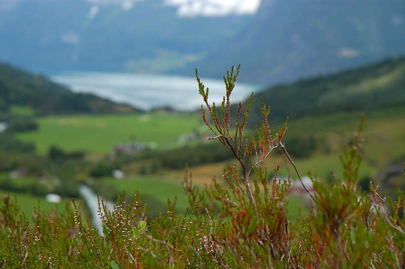 Bilder/norwegen/nor_012.jpg